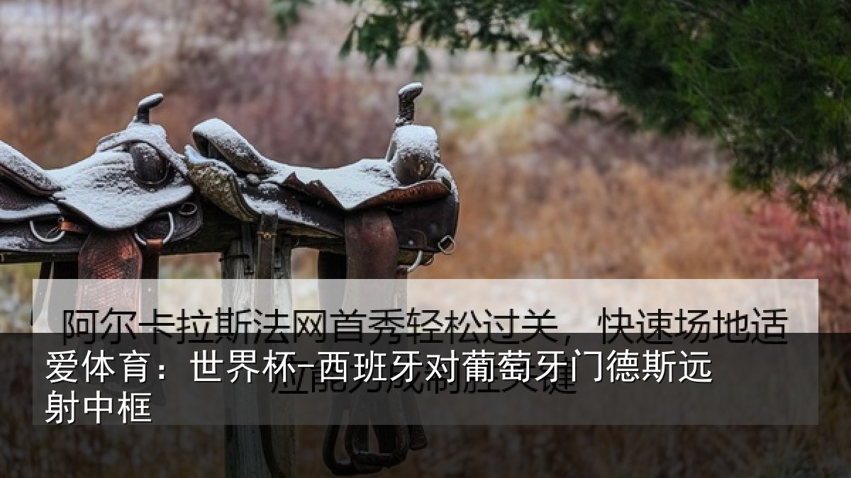 爱体育：世界杯-西班牙对葡萄牙门德斯远射中框